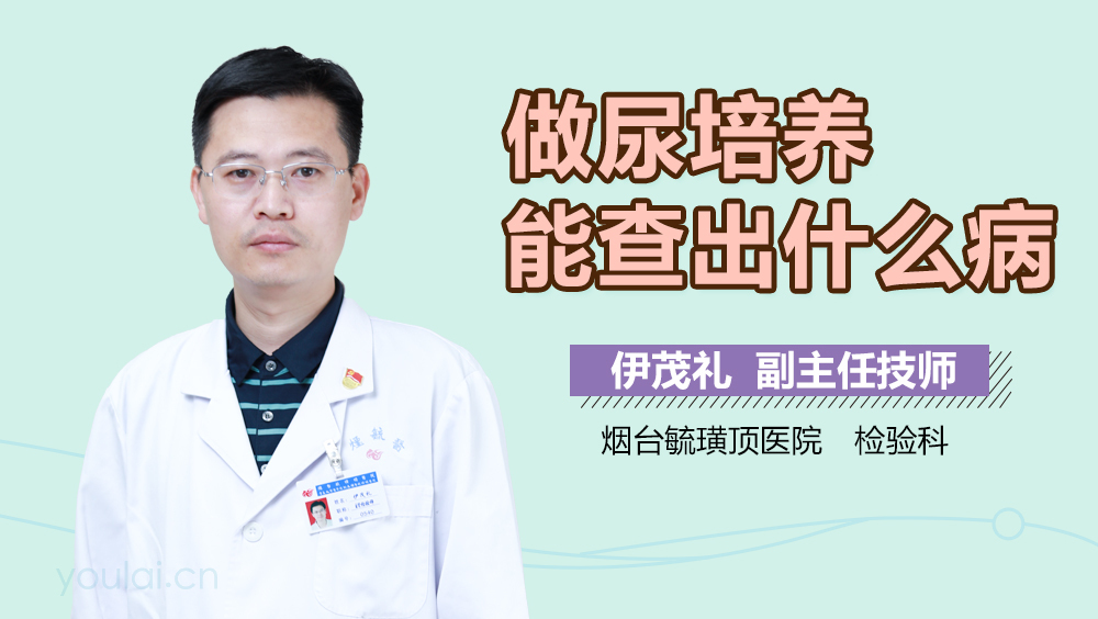 做尿培养能查出什么病