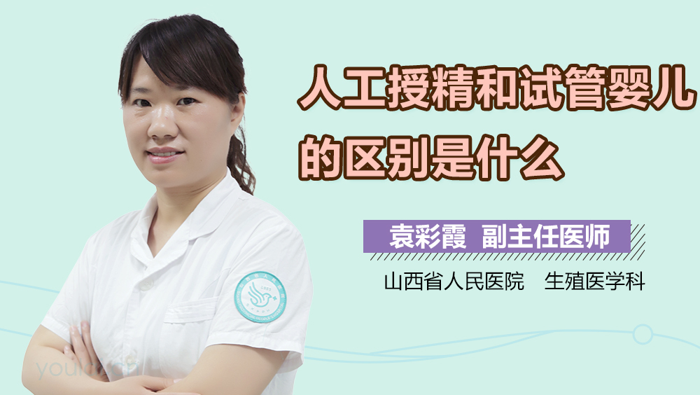 人工授精和试管婴儿的区别是什么