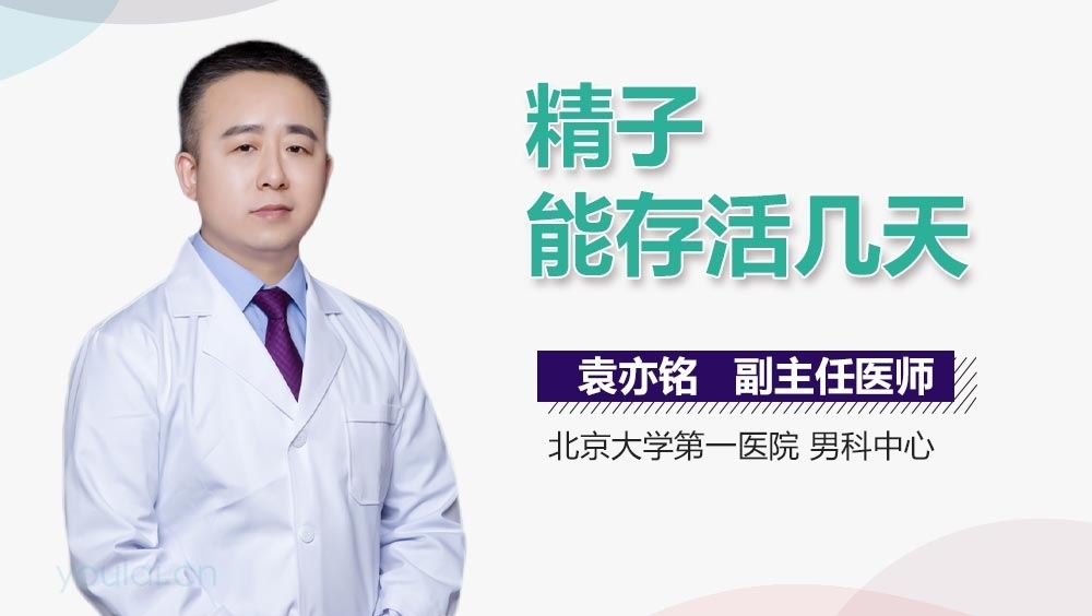 精子能存活几天