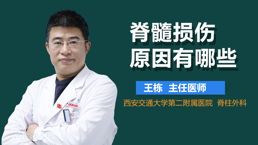 脊髓损伤原因有哪些