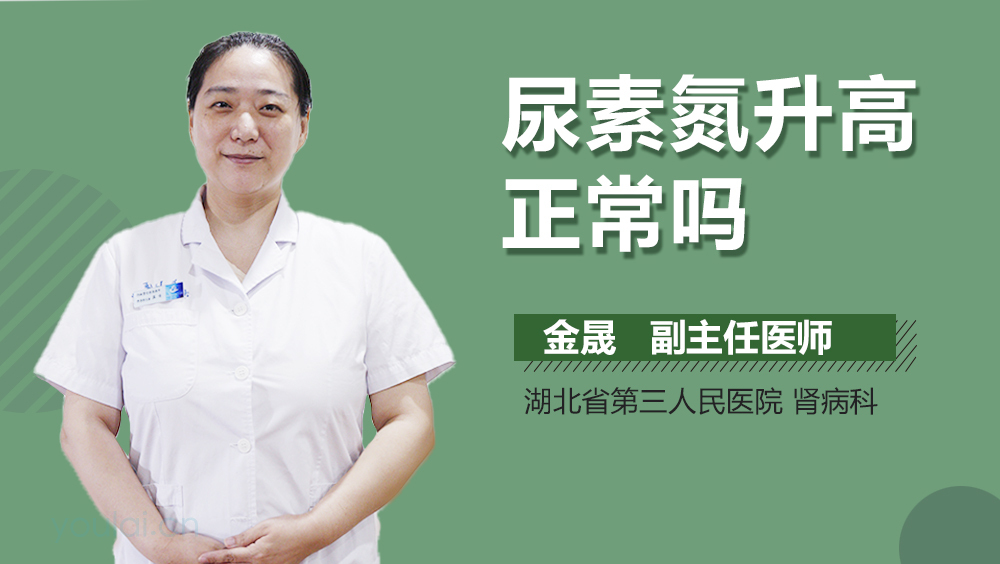 尿素氮升高正常吗