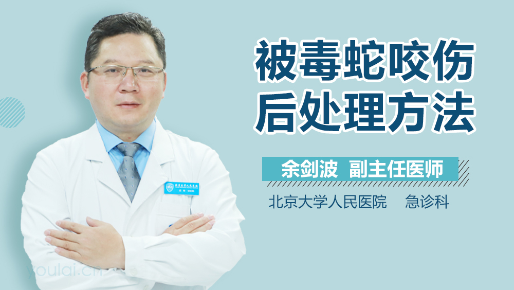 被毒蛇咬伤后处理方法