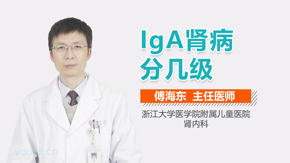 IgA肾病分几级