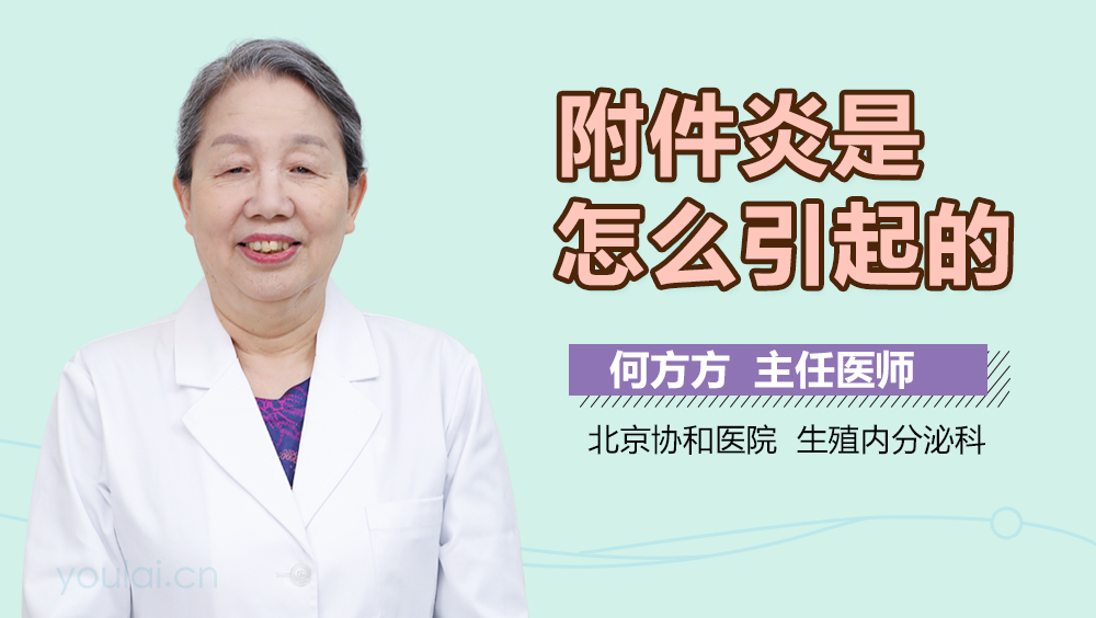 附件炎是怎么引起的