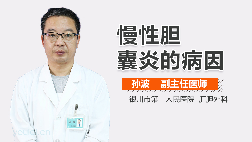 慢性胆囊炎的病因