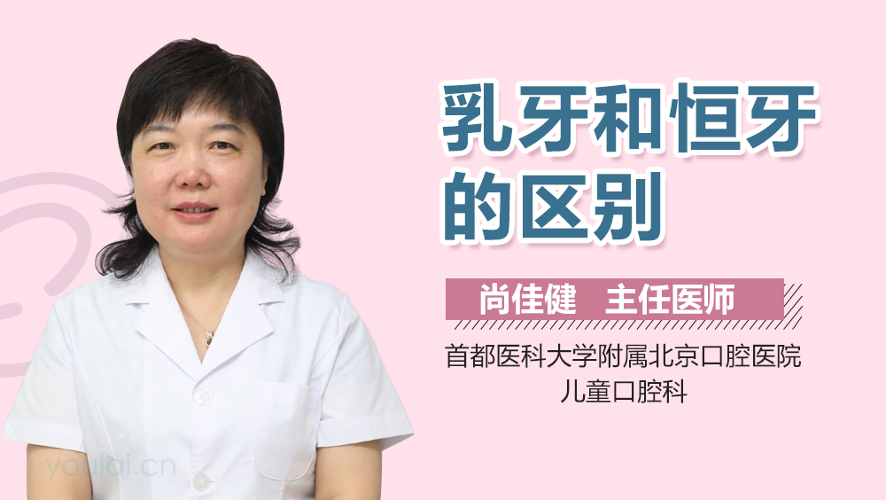 乳牙和恒牙的区别
