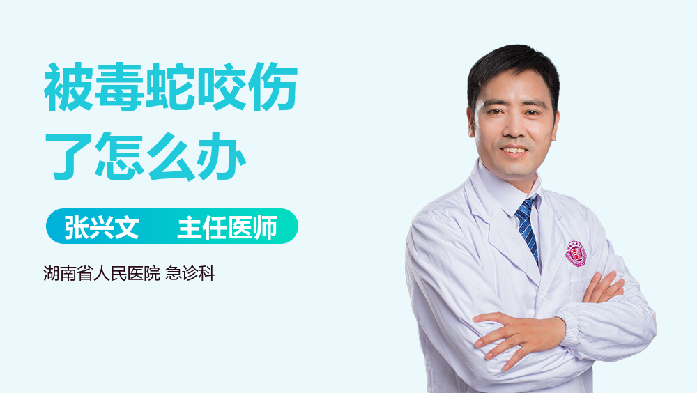 被毒蛇咬伤了怎么办