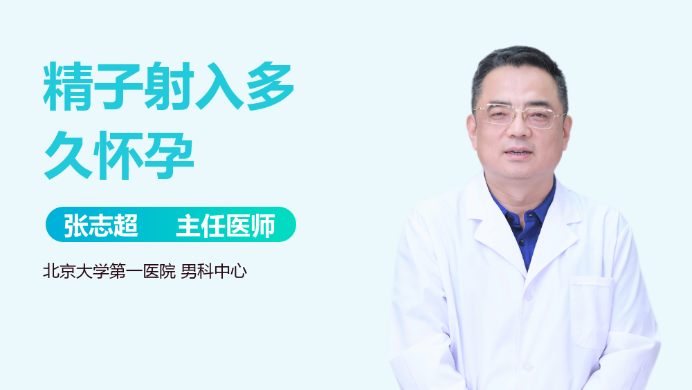 精子射入多久怀孕