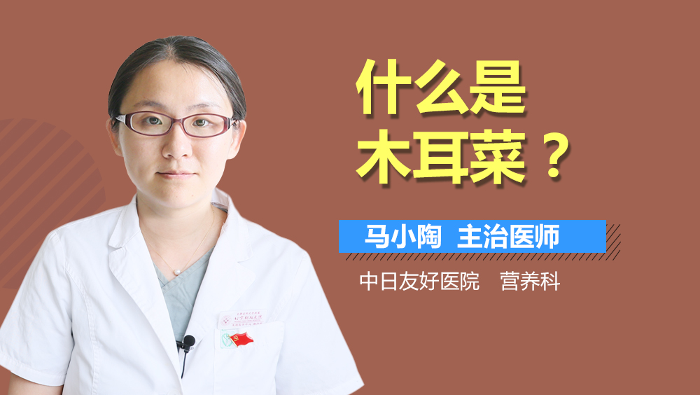 什么是木耳菜