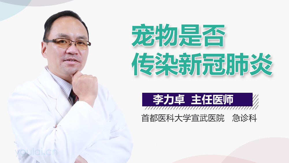 宠物是否传染新冠肺炎