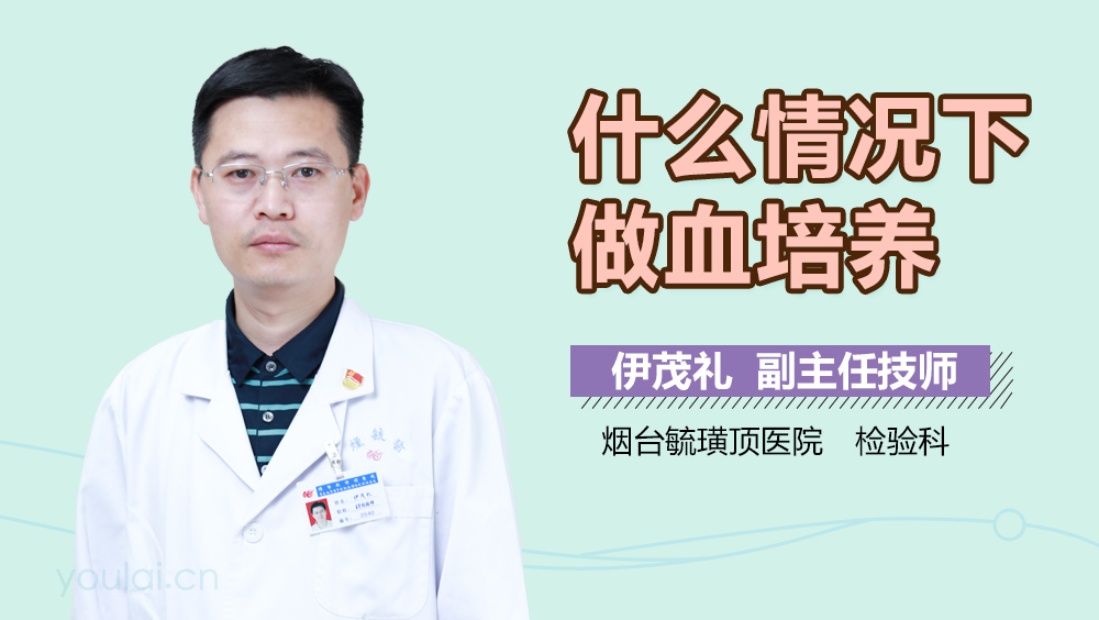 什么情况下做血培养