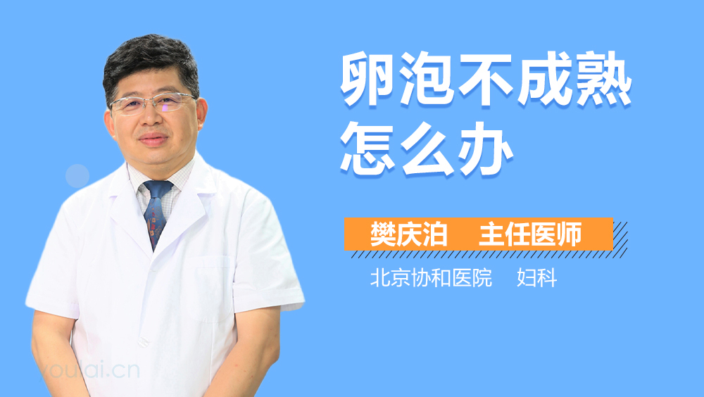 卵泡不成熟怎么办