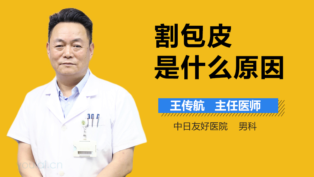 割包皮是什么原因