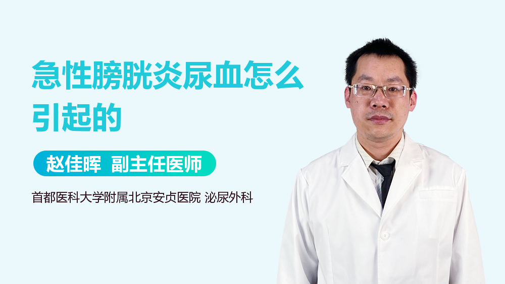 急性膀胱炎尿血怎么引起的