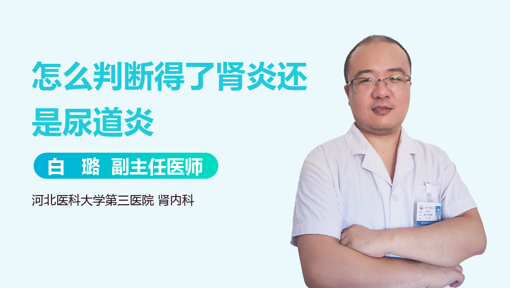 怎么判断得了肾炎还是尿道炎