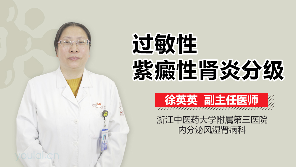 过敏性紫癜性肾炎分级