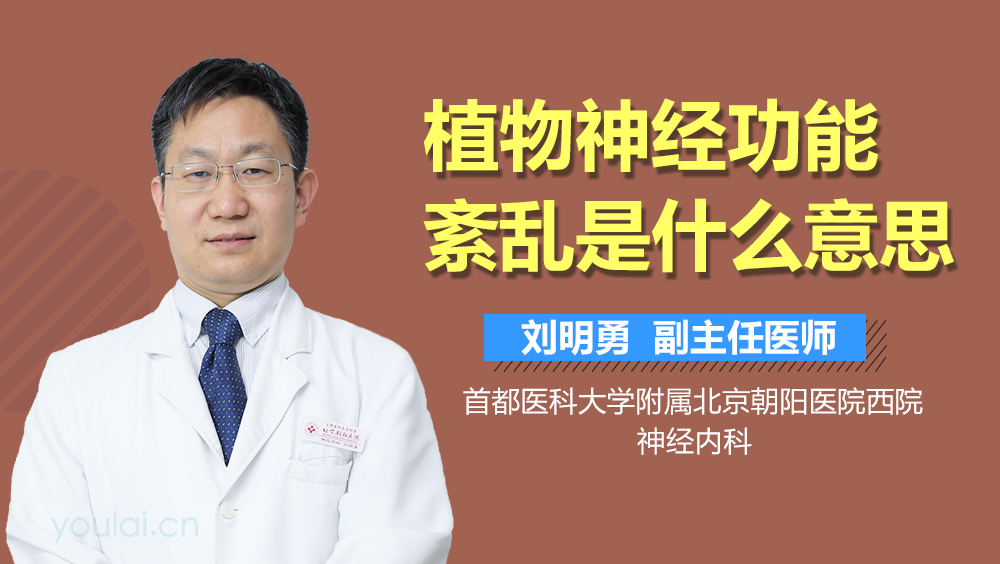 植物神经功能紊乱是什么意思