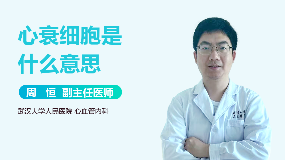 心衰细胞是什么意思