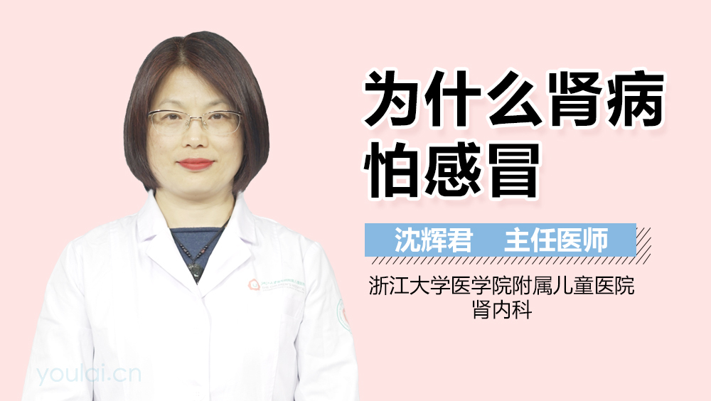 为什么肾病怕感冒