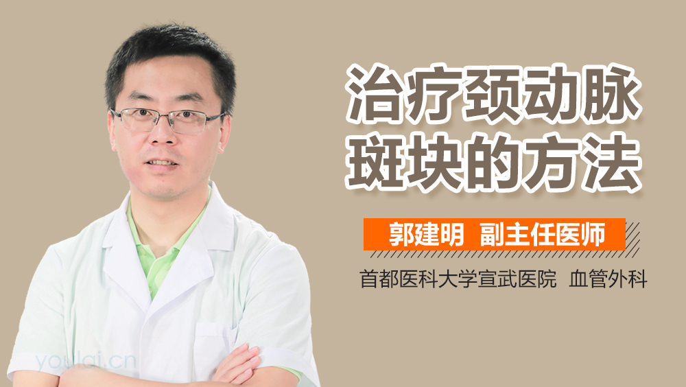 治疗颈动脉斑块的方法