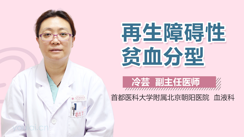 再生障碍性贫血分型