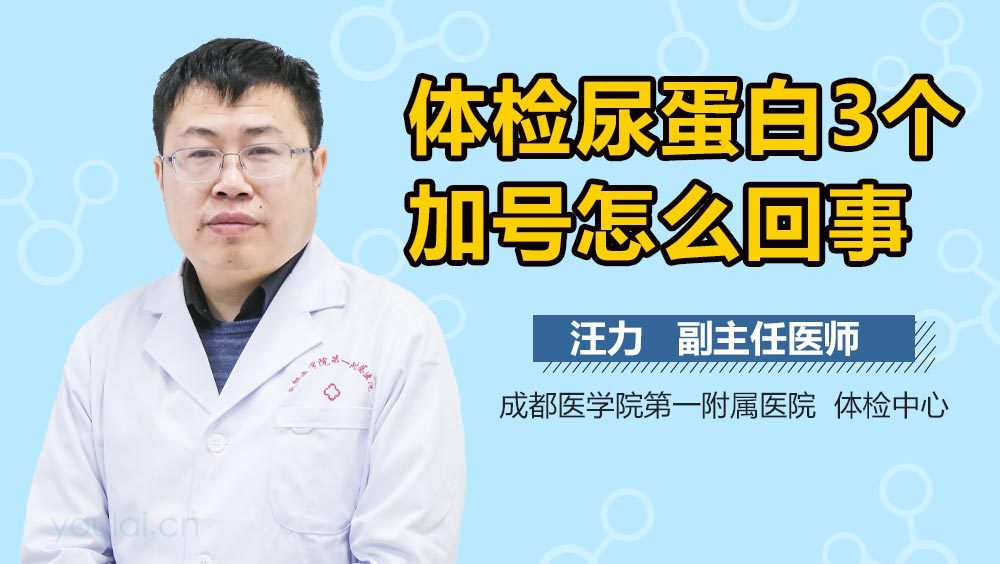 体检尿蛋白3个加号怎么回事