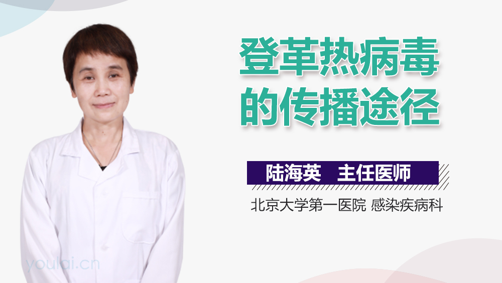 登革热病毒的传播途径