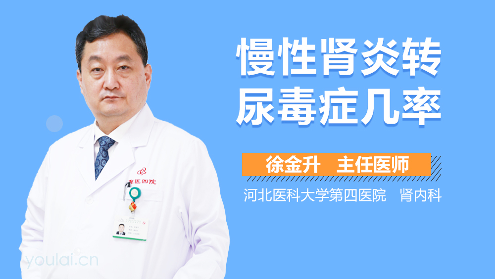 慢性肾炎转尿毒症几率