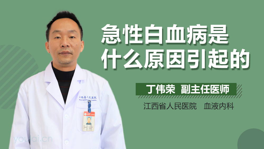 急性白血病是什么原因引起的