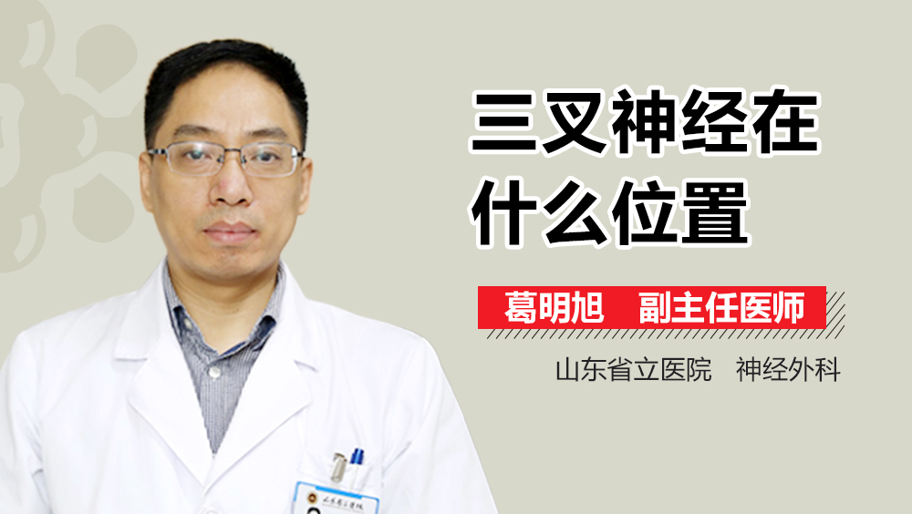 三叉神经在什么位置