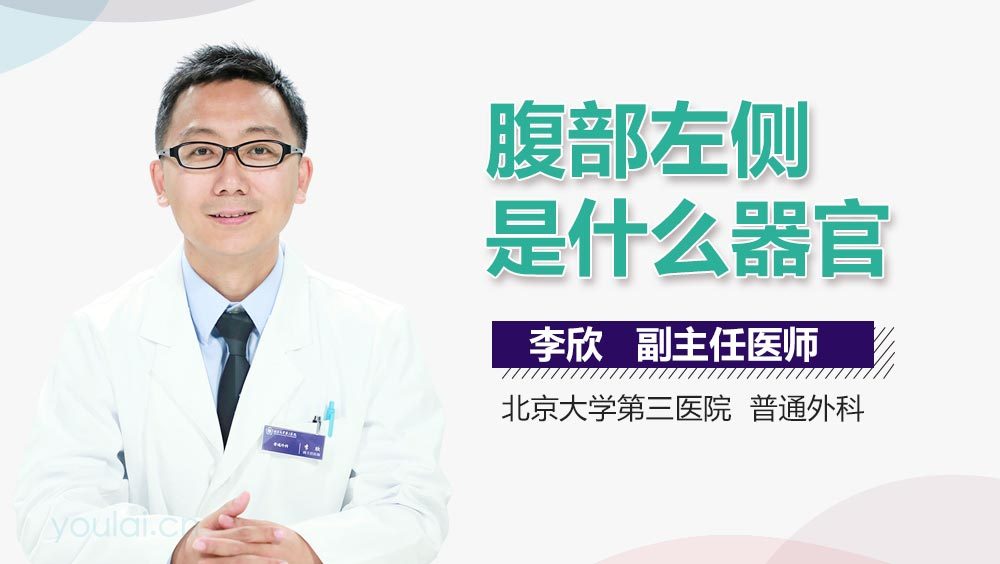 腹部左侧是什么器官