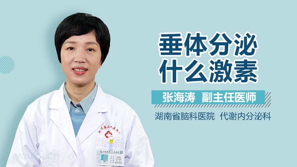 垂体分泌什么激素