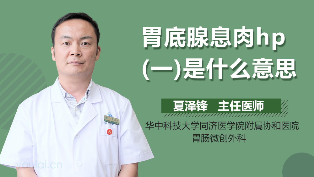 胃底腺息肉hp(一)是什么意思