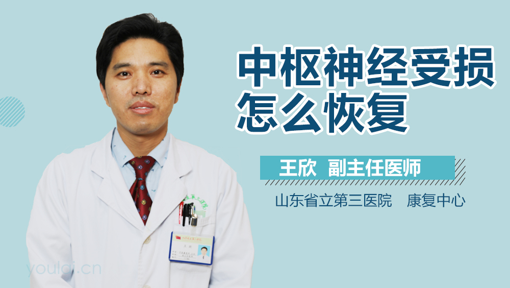 中枢神经受损怎么恢复