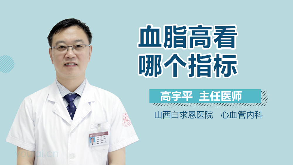 血脂高看哪个指标