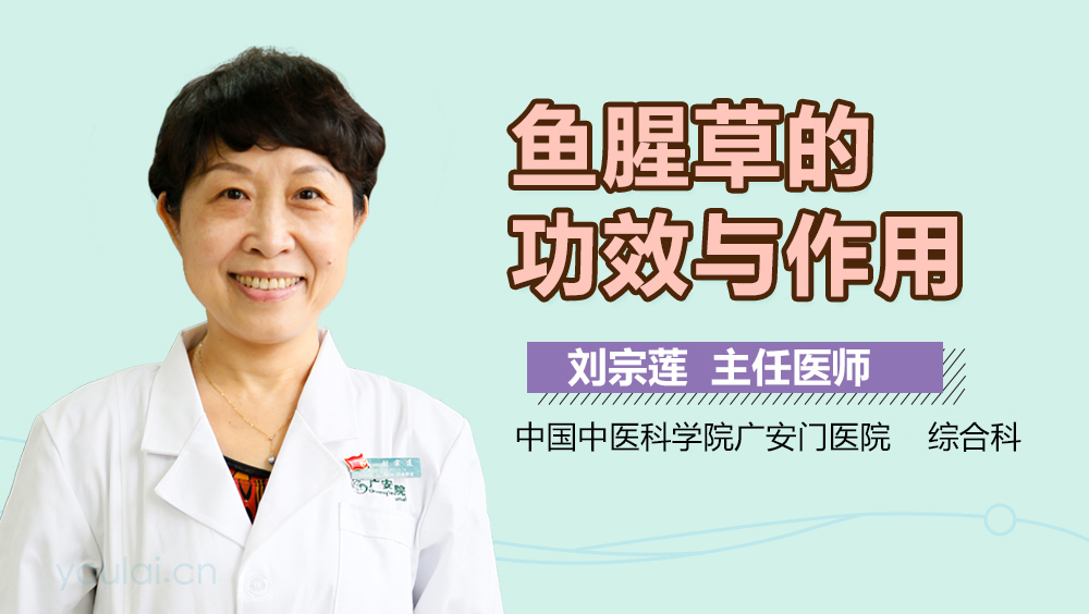 鱼腥草的功效与作用