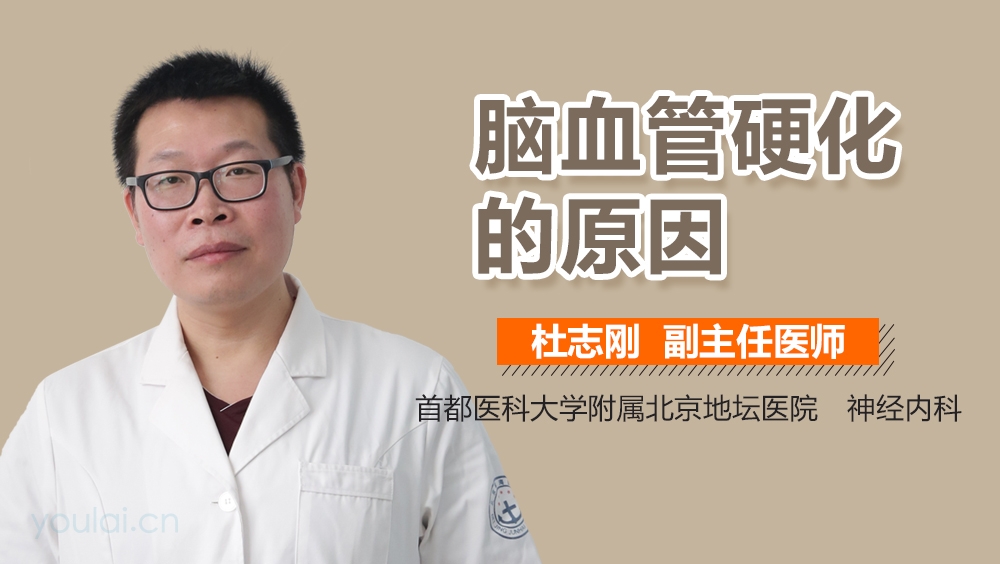 脑血管硬化的原因