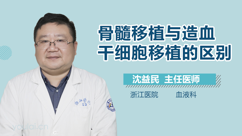 骨髓移植与造血干细胞移植的区别