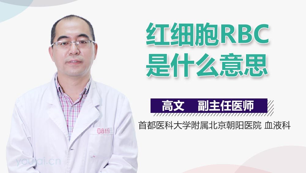 红细胞RBC是什么意思