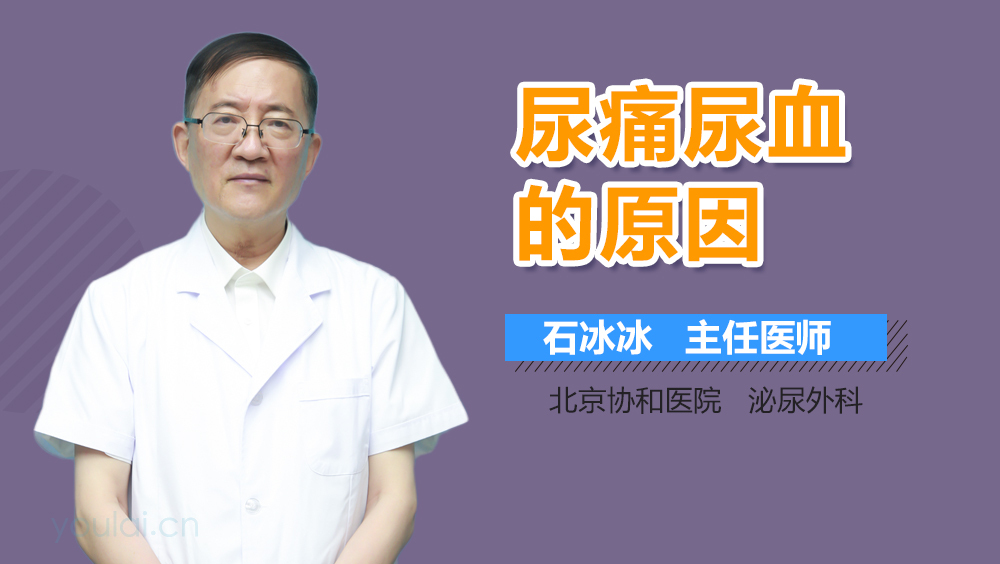 尿痛尿血的原因