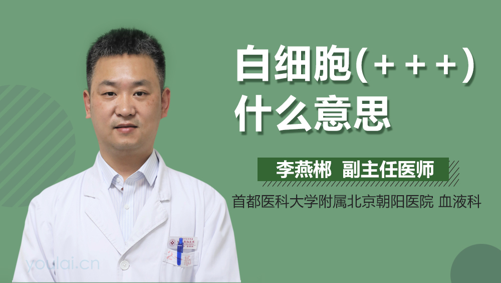 白细胞(+++)什么意思