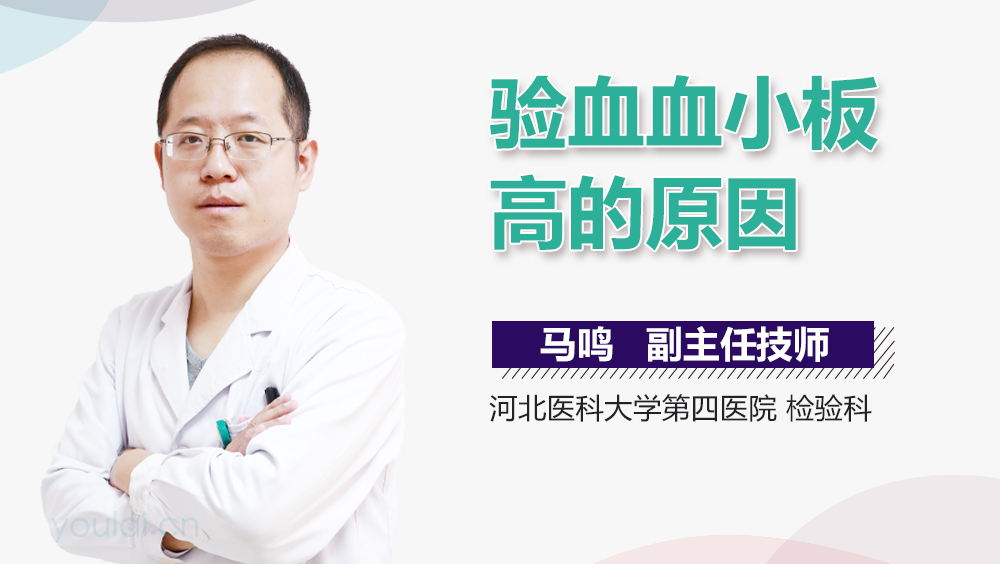 验血血小板高的原因