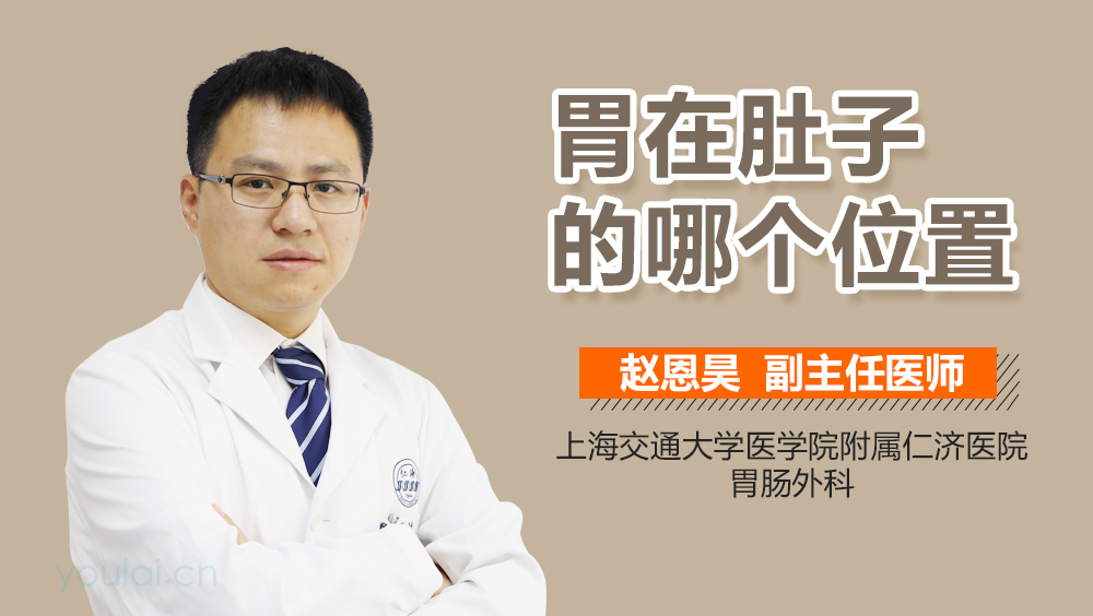 胃在肚子的哪个位置