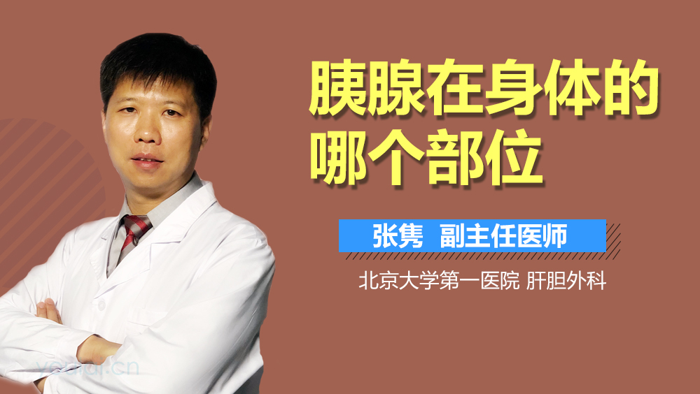 胰腺在身体的哪个部位