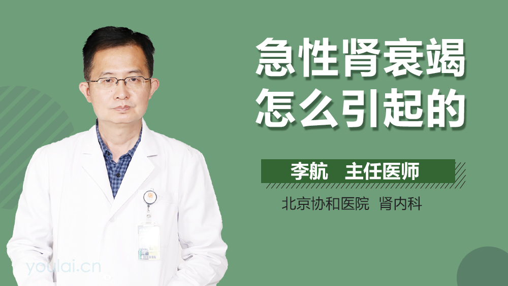 急性肾衰竭怎么引起的