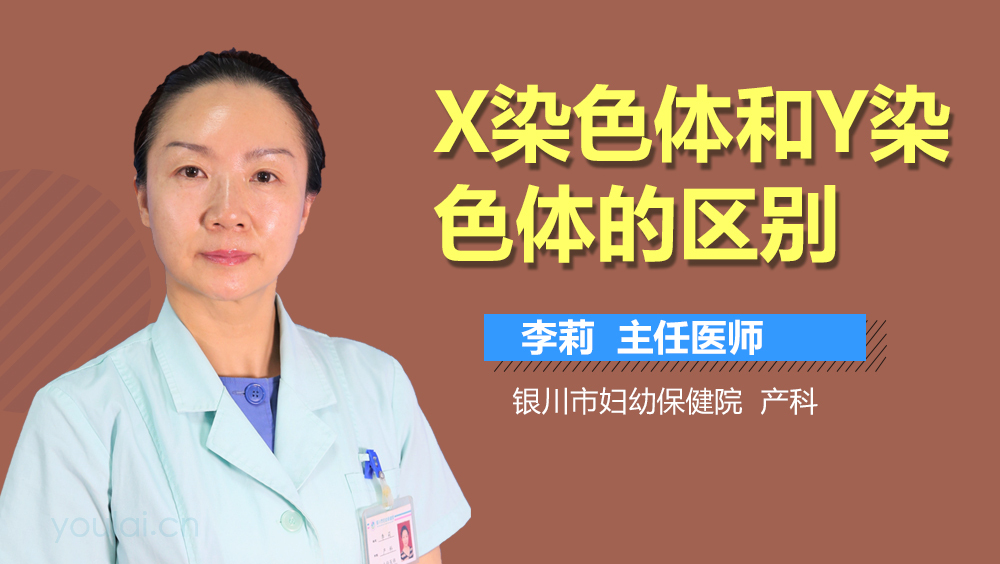 X染色体和Y染色体的区别