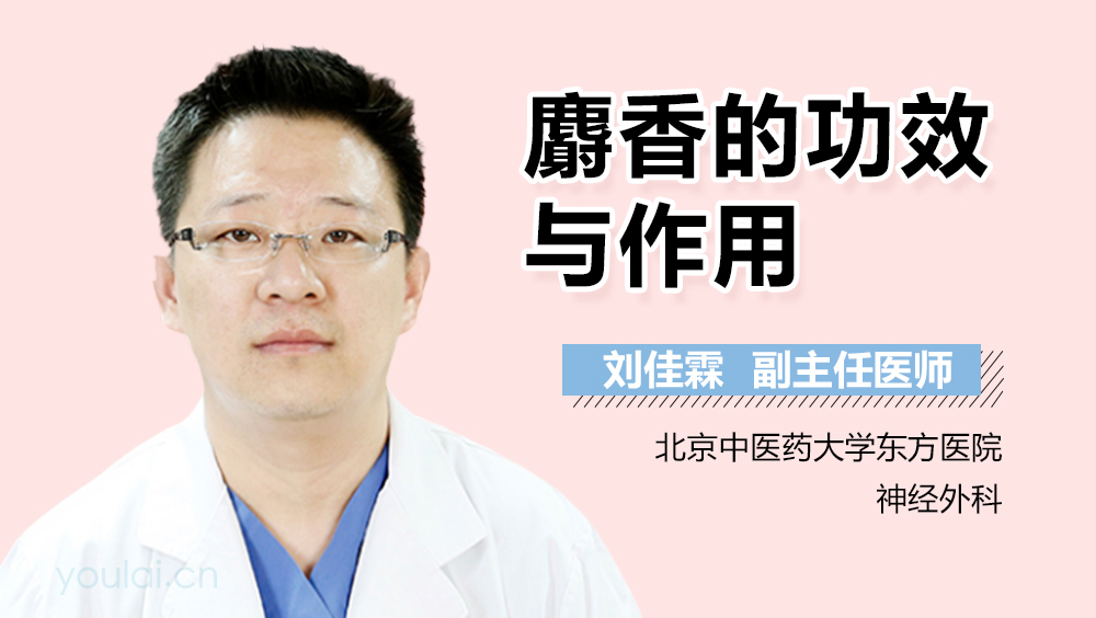 麝香的功效与作用