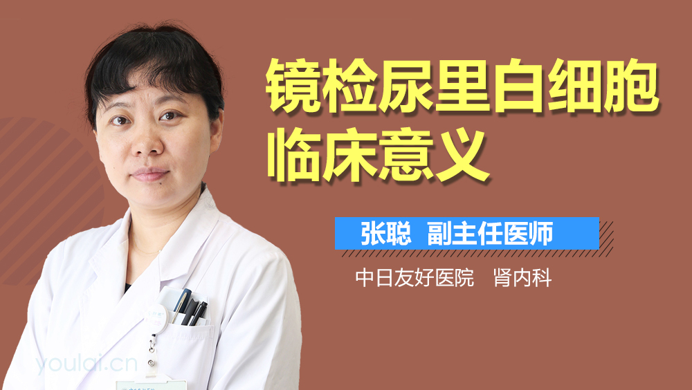 镜检尿里白细胞临床意义