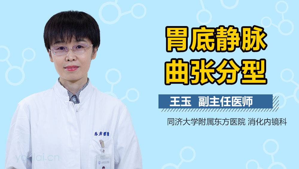 胃底静脉曲张分型