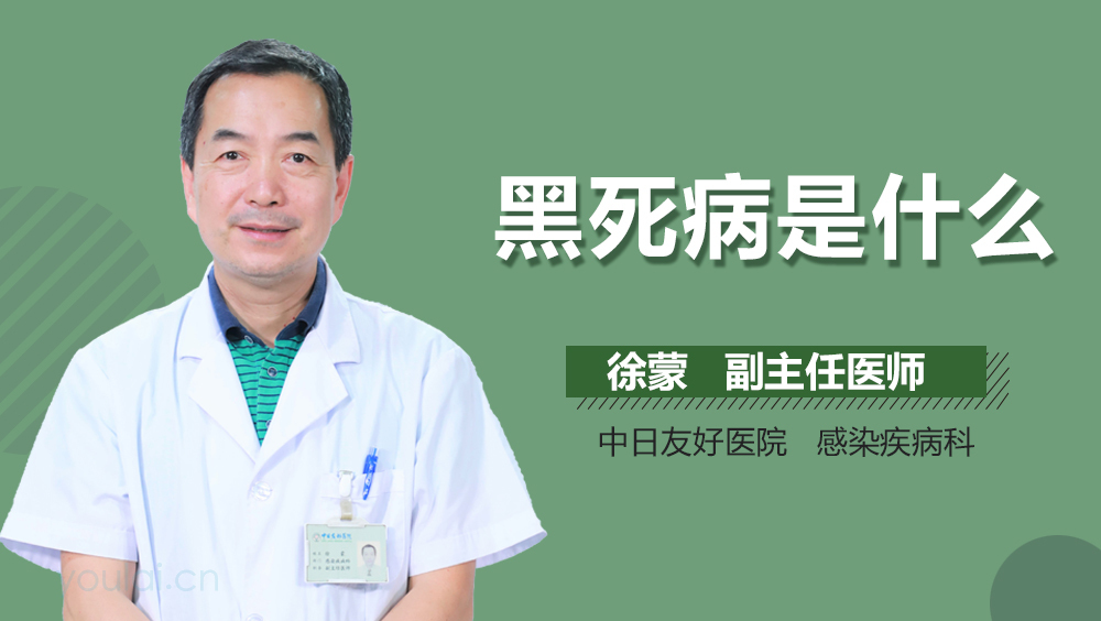 黑死病是什么